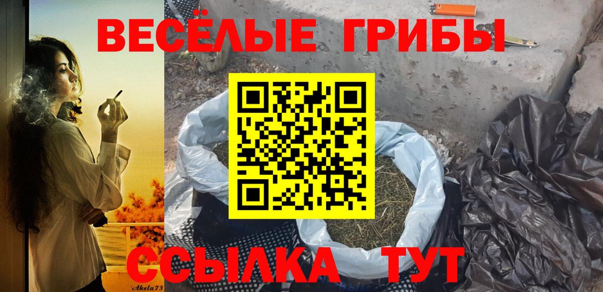 Псилоцибиновые грибы Cubensis Сургут
